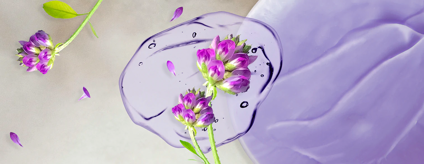 Understanding the Differences between Bakuchiol and Retinol