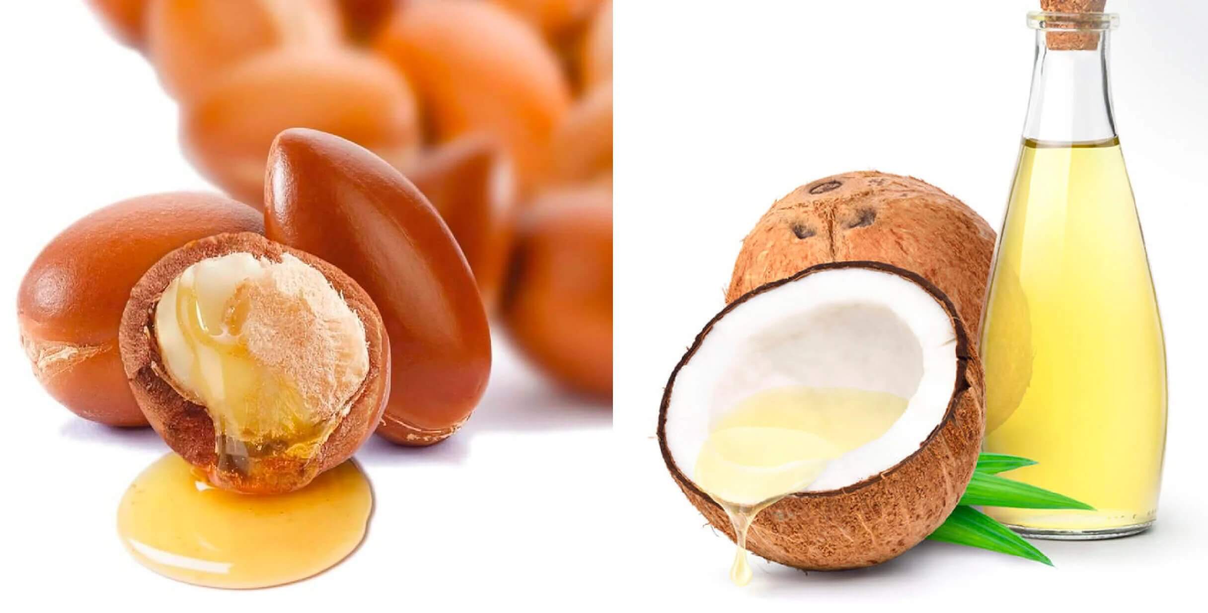 Argan Oil vs. Coconut Oil: Which is Better for You | FRÉ Skincare
