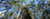 One Set, One Tree: 1015 Trees Planted in Australia