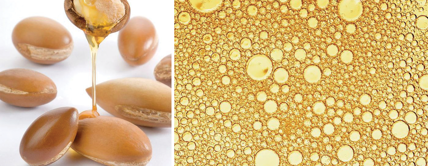 properties of argan oil